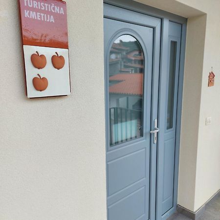 Apartmaji Aucin - Brda Kojsko Εξωτερικό φωτογραφία