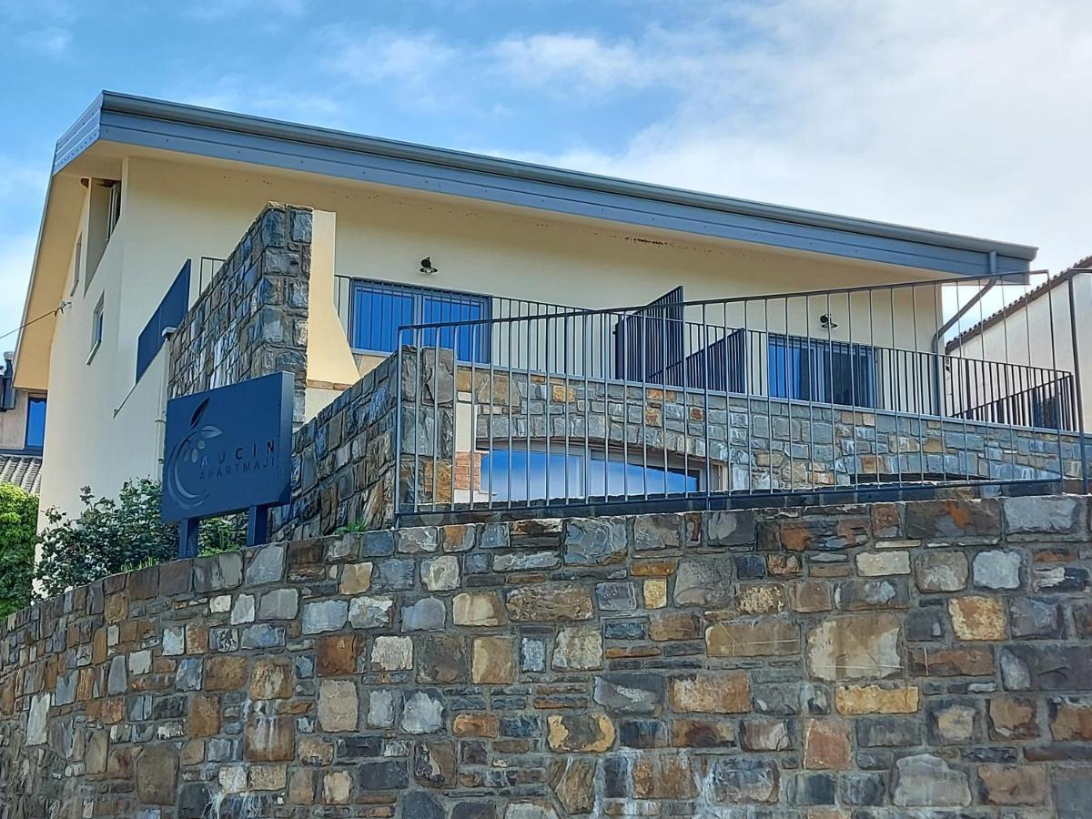 Apartmaji Aucin - Brda Kojsko Εξωτερικό φωτογραφία