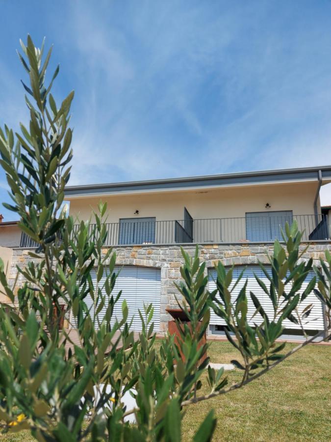 Apartmaji Aucin - Brda Kojsko Εξωτερικό φωτογραφία